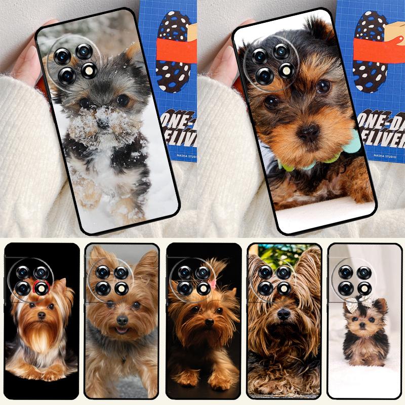 Чехол для телефона Yorkshire Terrier Dog Для OnePlus 13 13R 12 12R 11 9 10 Pro 8T 9RT 10T 10R Nord 4 CE 2 3 Lite N20 N30