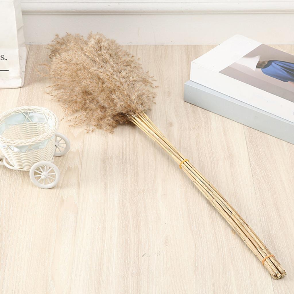 50 Pcs Dried Pampas Grass, Artificial Plant Reed Rabbittail Bouquet Home Decoration Boho Wedding Decoration