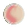 Round plaid hard diatom mud coffee tea coaster thermal insulation pad office non-slip absorbent pad