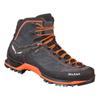 Mountaineering Boots Mountain Trainer Mid Goretex