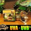 Pet Uva Uvb Reptile Tortoise Heating Lamp Full Sunlamps Basking Pet 25W/50W/75W