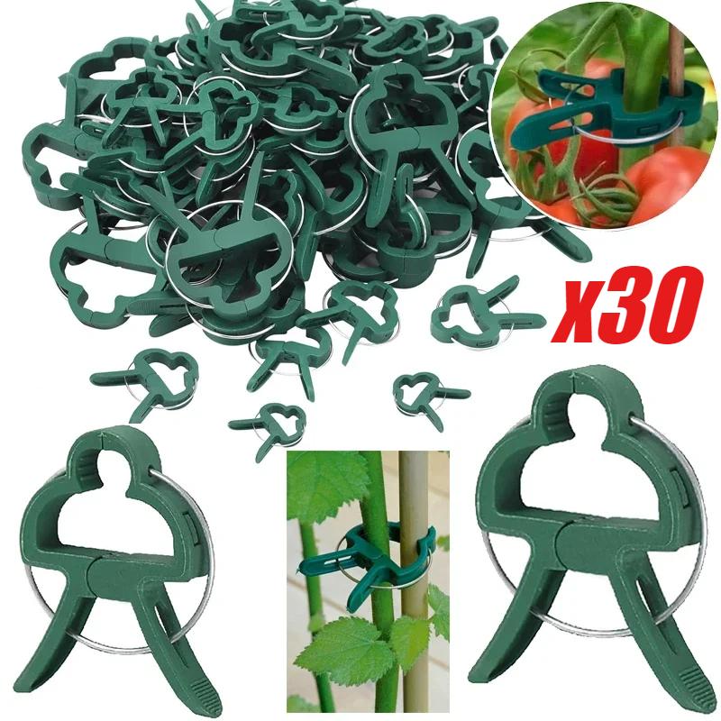 30PCS Plant Clips Reusable Greenhouse Bracket For Fixed Plants Vine Flower Seedling Tomatoes Support Garden Supplies