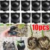 10Pcs Reusable Plant Root Growing Box Cutting Grafting Rooting Ball Garden Rooting Propagation Ball Breeding Equipment