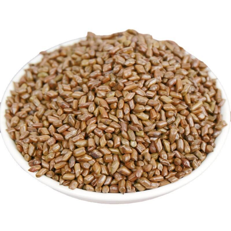 Cassia Seeds Tea Natural Healthy Select Cooked 500g