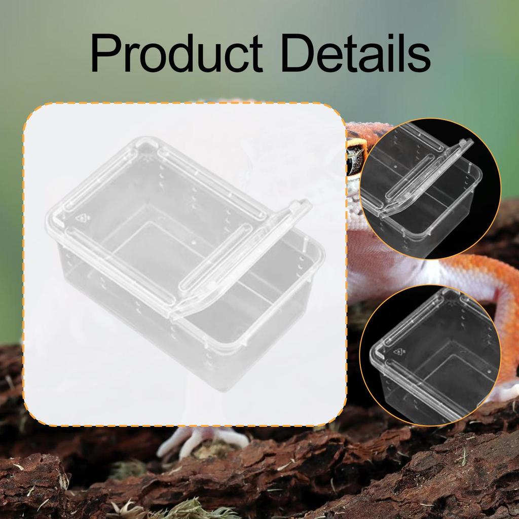 Коробка для кормления рептилий, контейнер для разведения и выведения, прозрачный террариум, среда обитания, клетка для животных