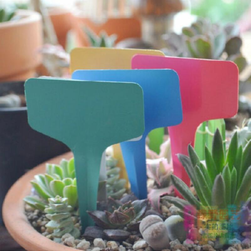 100 шт. белые пластиковые ПВХ метки для растений Т-образного типа маркеры этикетки для питомника поддоны для рассады горшки украшения 6X10 см