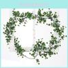 Rattan Green Artificial Wall Hanging Decor For Indoor Home And Photography Props