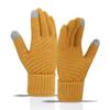 Cute Student Gloves with Winter Velvet Windproof and Cold Proof Cycling Knitted Touch Screen Warm Gloves for Women In Autumn and Winter