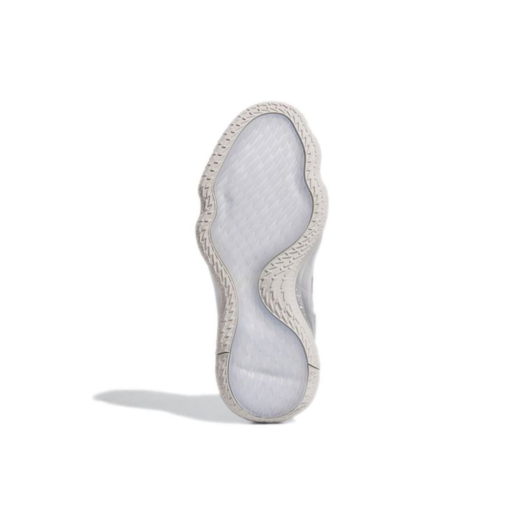 adidas Мужские кроссовки Dame 7 EXTPLY Silver Metallic Grey Grey-Two Cloud-White FZ0172