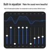 HuiDu AF202 Conference Digital Feedback Suppressor (CN version)