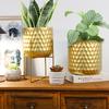 Set of Two Metal Plant Stands Flower Stand Holders Modern Plant Holders Flower Holder for Flower Pot Indoor Living Room
