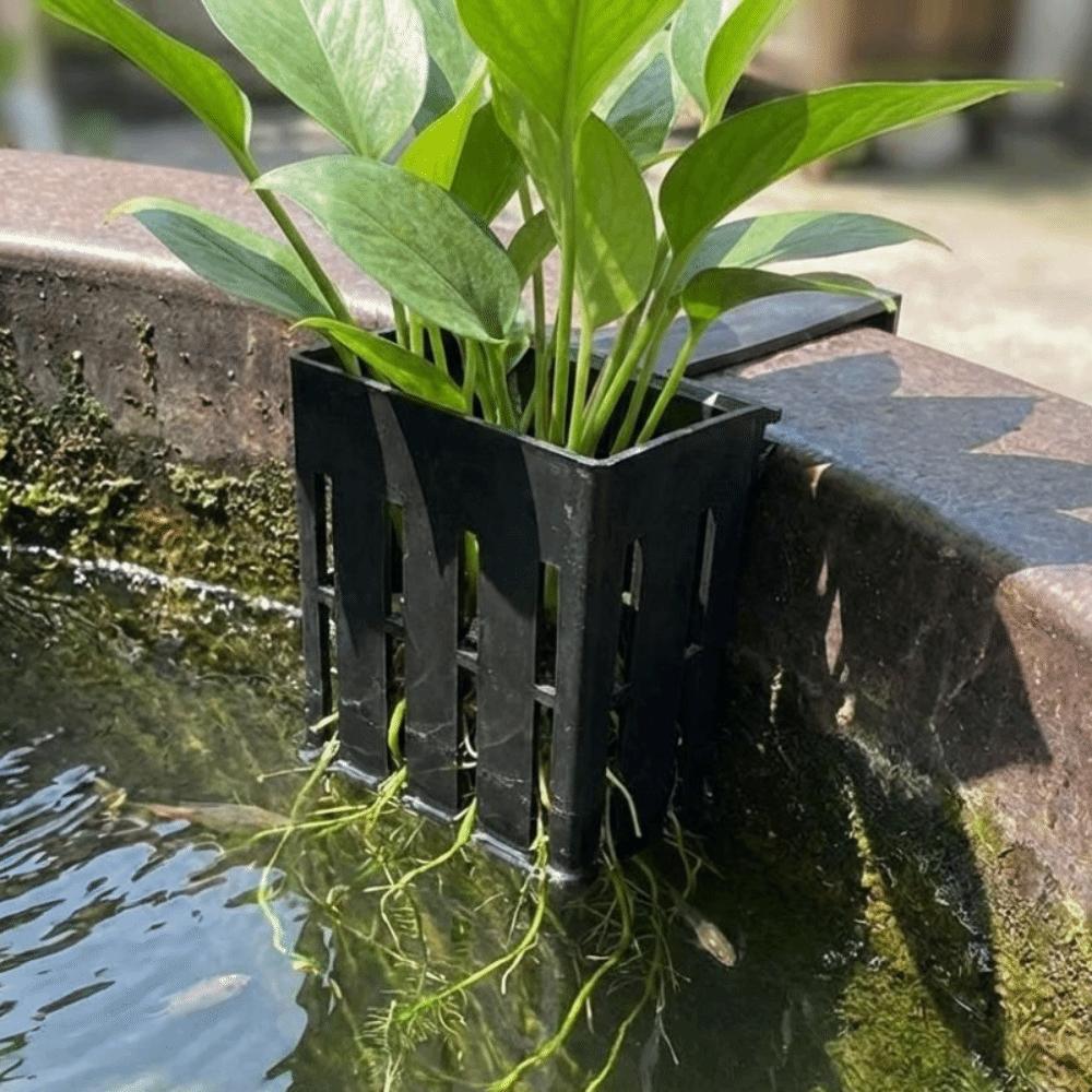 Настенная корзина для аквариумных растений Пластиковый горшок для водной культуры Гидропонная подвесная кашпо Контейнеры для растений Самополив