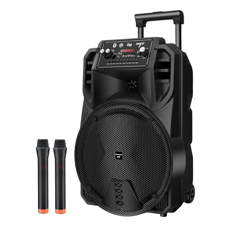 Newmine N509 Portable Outdoor Karaoke Speaker