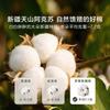 60-Count Xinjiang Cotton All-Season Quilt