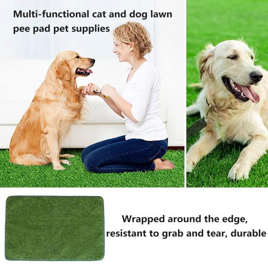 Pet Pee Mat Odor-Free Absorbent Fine Workmanship Wear-resistant Dog Training Pad for Clean Comfortable Home