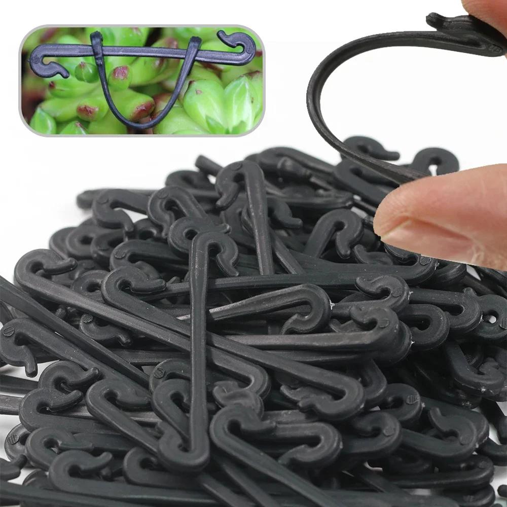 Виноградные лозы Зажимы для крепления Пряжка Фиксированная стяжка Овощной прививочный зажим Опорный зажим Садовые растения Фиксированный крючок Садовые принадлежности