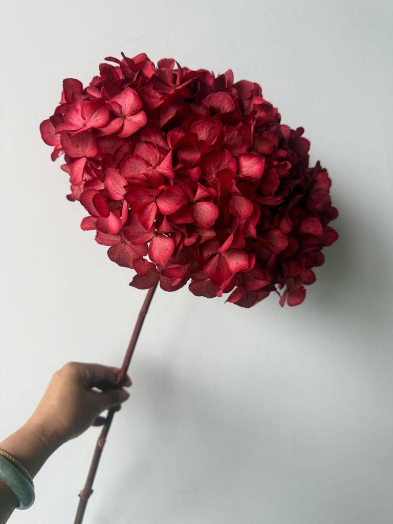 Multi-Color Preserved Bigleaf Hydrangea Single Stem Flower Bouquet for Home Decoration