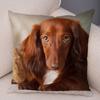 Mini Dachshund Cushion Cover Decor Pet Animal Pillowcase Sofa Home Children's Room Pillowcase