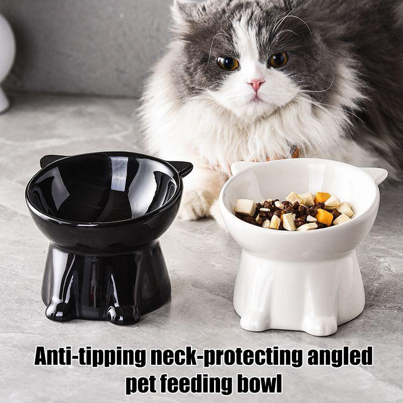 Pet Cat Food Bowl 15 Degree Slanted Tall Stand Anti-tip for Neck Protection Comfortable Feeding in Kitchen or Living Room