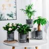 Transparent Plastic Plant Pots Self Watering Planter Pot Vase Lazy Self-Watering Flower Pot Plastic Self Watering Planter