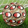 Feyenoord Rotterdam Crest Size 5 Soccer Ball,Indoor/Outdoor Suitable for Training Matches Tournaments Practice Games Perfect Gift for Fan