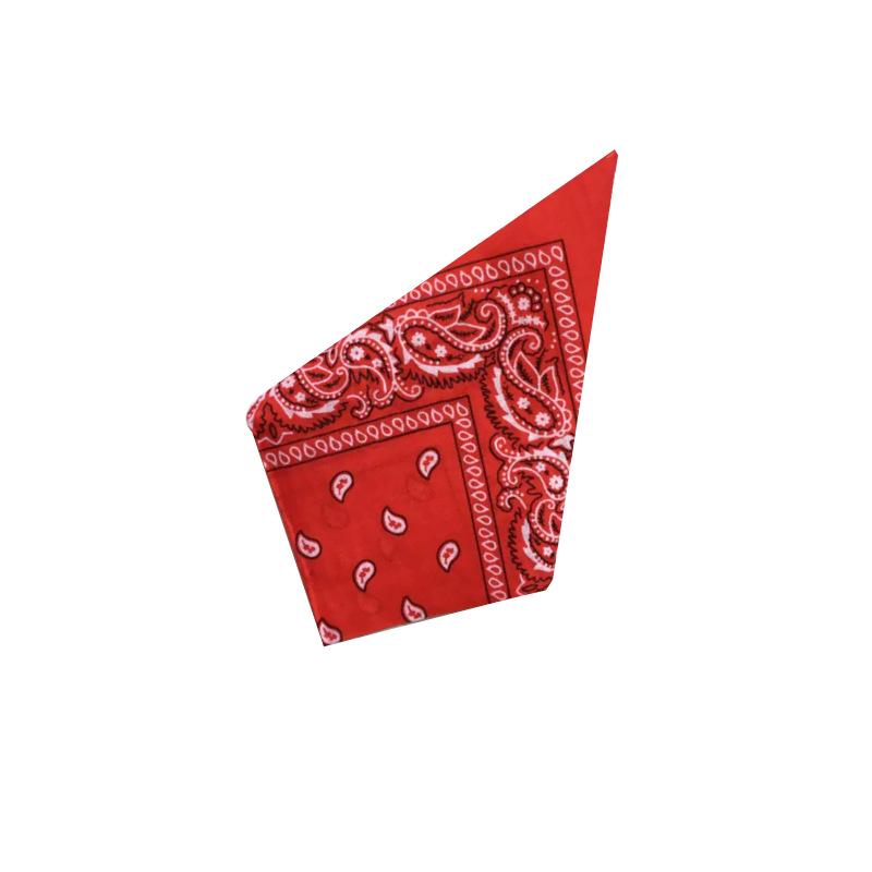 Модный детский хип-хоп клетчатый комплект для мальчиков и девочек - Уличные танцы и одежда для выступлений