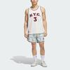 adidas Шорты с принтом Originals Hyc, унисекс JC5973