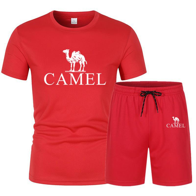 Tracksuit Male Summer Clothes Sports Clothes Set Two Pieces T Shirt Shorts Brand Track Clothes Quick Drying Sportswear