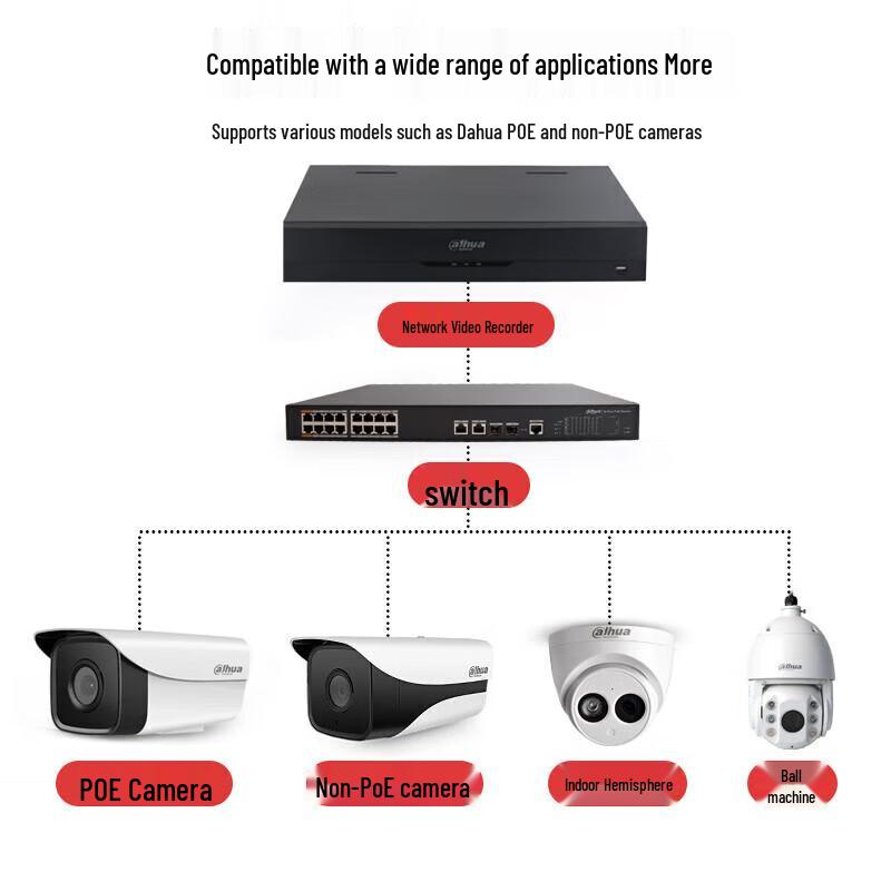 Dahua Network NVR Surveillance Video Recorder CN plug (adapter included)