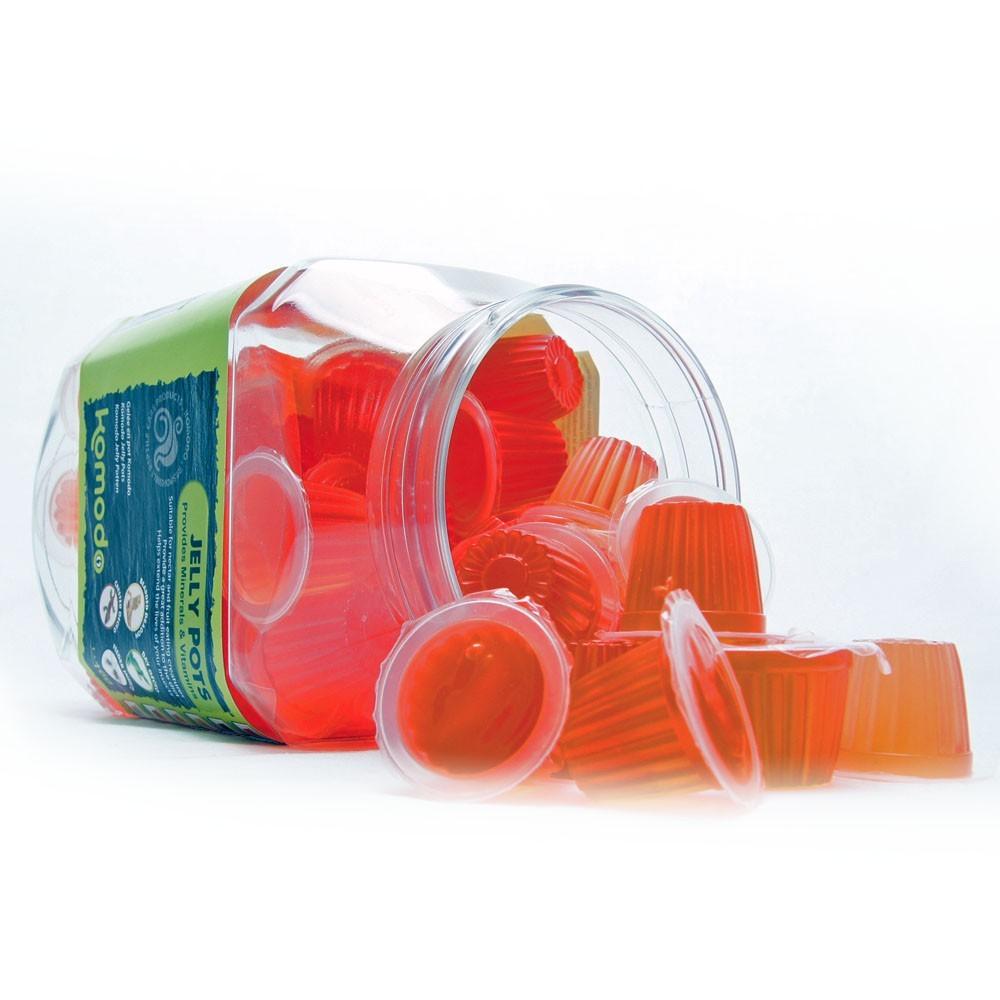 Gel Food for Reptiles and Insects Feeding Bowl Strawberry Flavor