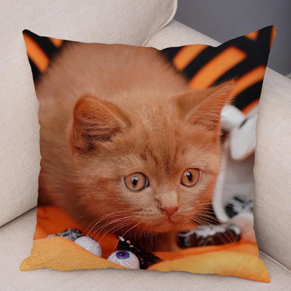 Русская голубая Британская короткошерстная Наволочка Декор Милый кот Домашнее животное Животное Наволочка Мягкий плюшевый Чехол для подушки для машины Дивана Дома