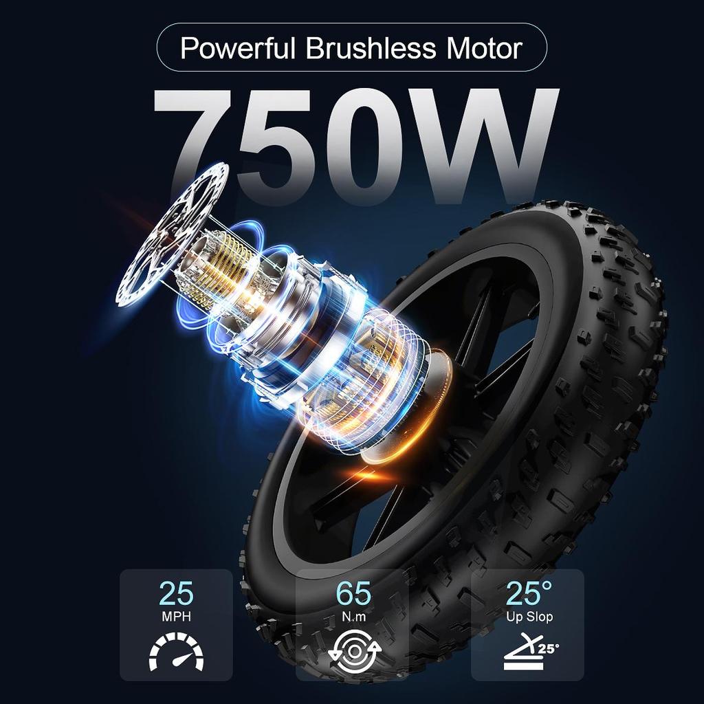 Jansno X50 250W motor+48V14AH Battery, 20 * 4.0-inch Tires, Disc Brake, Ximano 7-speed, Maximum Speed 40-45KM/H Electric Bicycle