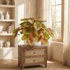 Vibrant Colors Artificial Plants 42 Leaves Simulated Green Plants Fake Tree Leaves  Patio