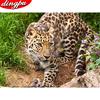 Diamond Painting 5D Leopard Diamond Art Full Drill Round Embroidery Home Decoration Arrival Gift