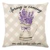 Spring Throw Pillow Cover Spring Festival Home Decor Cushion Office Cushion Sofa Cushion Cover