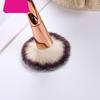 Electroplated Fiber Hair Makeup Brush for Beginners Beauty Set
