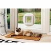 Cat Flap SureFlap SUR101 17.8 X 17 Cm