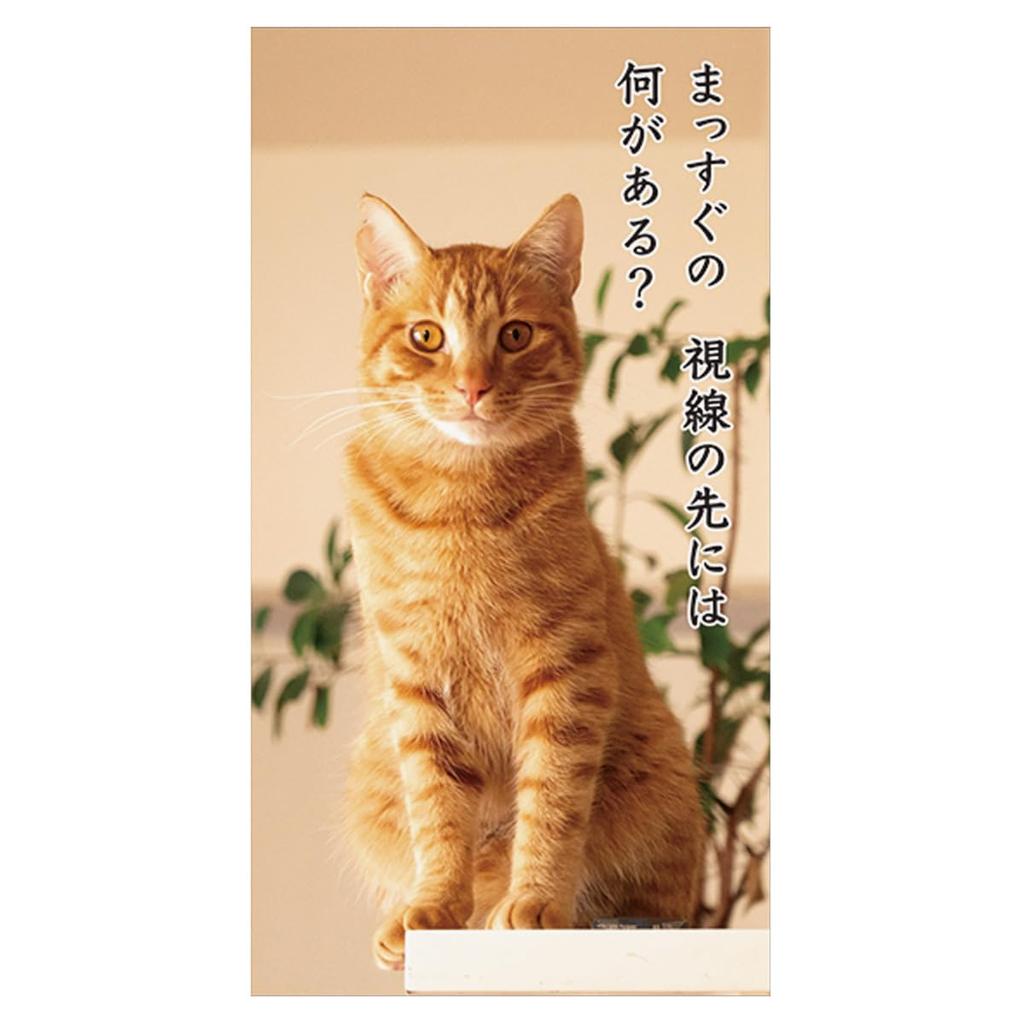 2025 Кот Сенрю (рабочий стол) Календарь №030