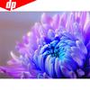 5D DIY Diamond Painting Full Round Flower Rhinestone Picture Embroidery Sale Diamond