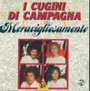 CD I CUGINI DI CAMPAGNA - Meravigliosamente PCD12002 DV MORERECORD Japan World Music Used