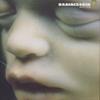 [CD] RAMMSTEIN MTTER NEW из Японии