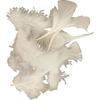 Good Quality Turkey Feathers - Perfect for Various Crafts. Ref 51662