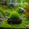Aquarium Structure for Shrimp 2Pcs Caves Plants, Round Hideouts, Cherry & Dwarf Freshwater House Hides Moss Ferns And Anubias, Tank Decoration
