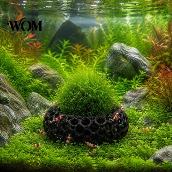 Aquarium Structure for Shrimp 2Pcs Caves Plants, Round Hideouts, Cherry & Dwarf Freshwater House Hides Moss Ferns And Anubias, Tank Decoration