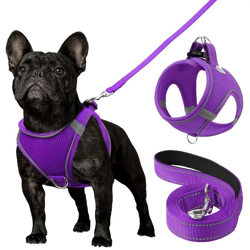Ultimate Comfort Reflective Step-In Dog Harness and Leash Set - Soft Padded Breathable Mesh Vest with Adjustable Nylon Leash for