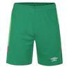 Umbro Мужские вратарские шорты