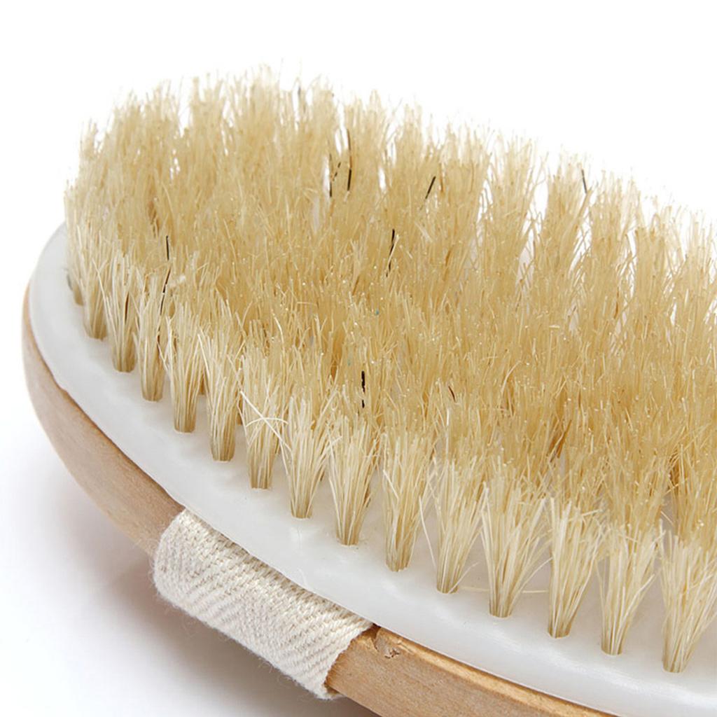 Bath Body Brush Back Scrubber with Comfy Bristle Long Handle Gentle Body Massager Wet or Dry Brushing Back Scrubber for