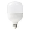Светодиодная лампа Foshan Lighting Yizhan Wanxing E27
