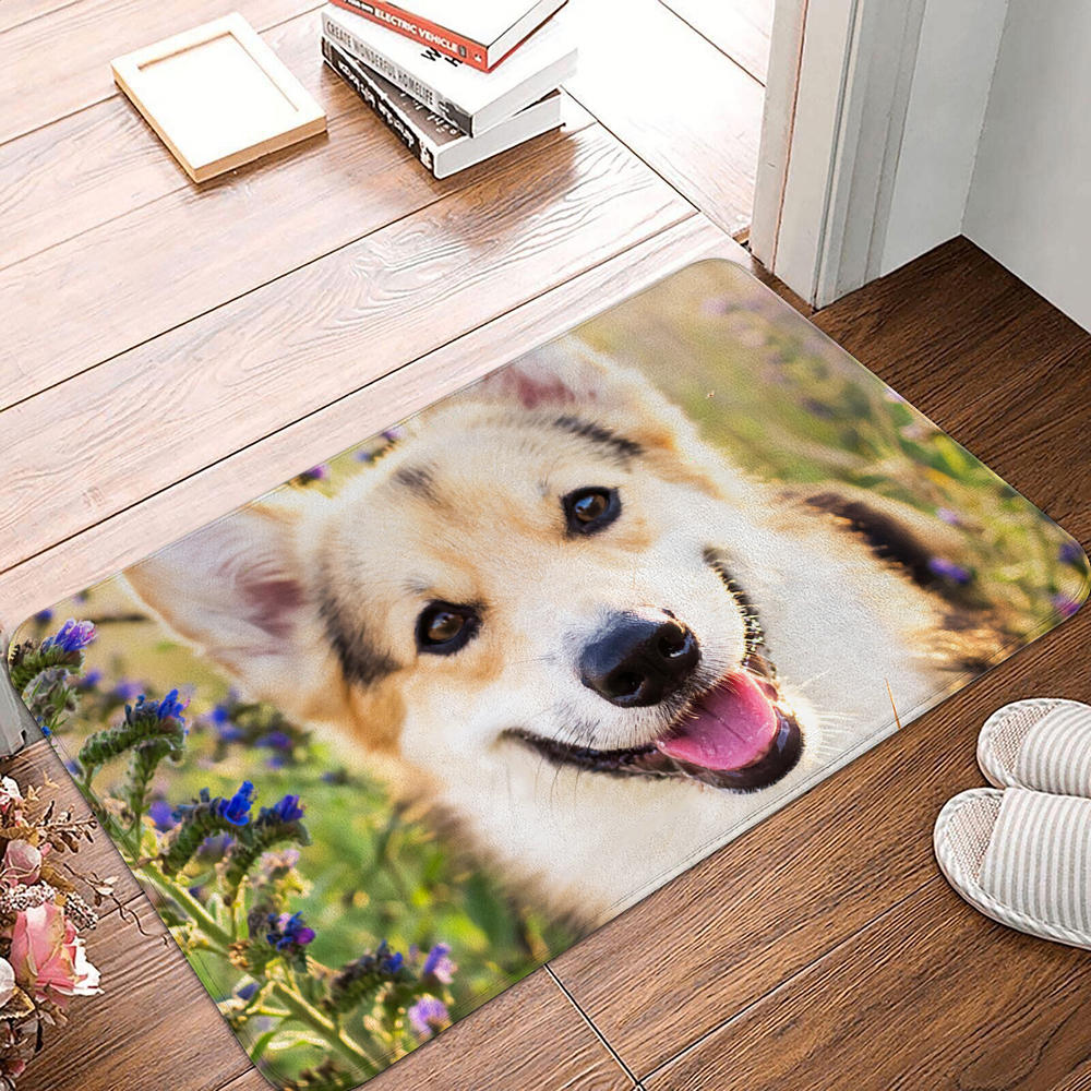 Floor Mat Entrance Door Mat Small Carpet Non-slip Door Mat Living Room Bathroom Kitchen Rug