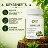 Таблетки Шалаки от Pure Nutrition | Таблетки Шалаки для облегчения боли | Травяная добавка Boswellia для здоровья суставов, подвижности и поддержки активного образа жизни